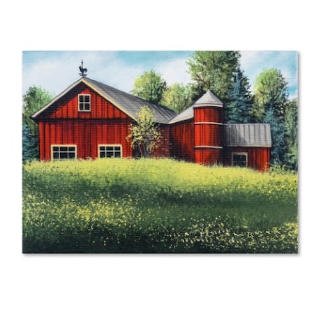Debbi Wetzel 'Red Barn Summer Sm' Canvas Art,14x19